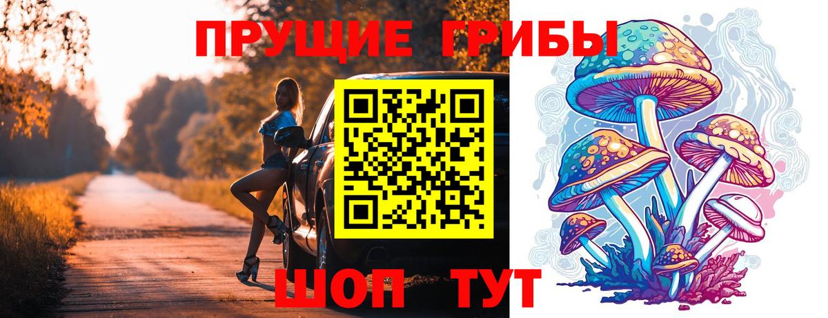 Вязьма  Псилоцибиновые грибы Psilocybine cubensis  Вход с VPN 